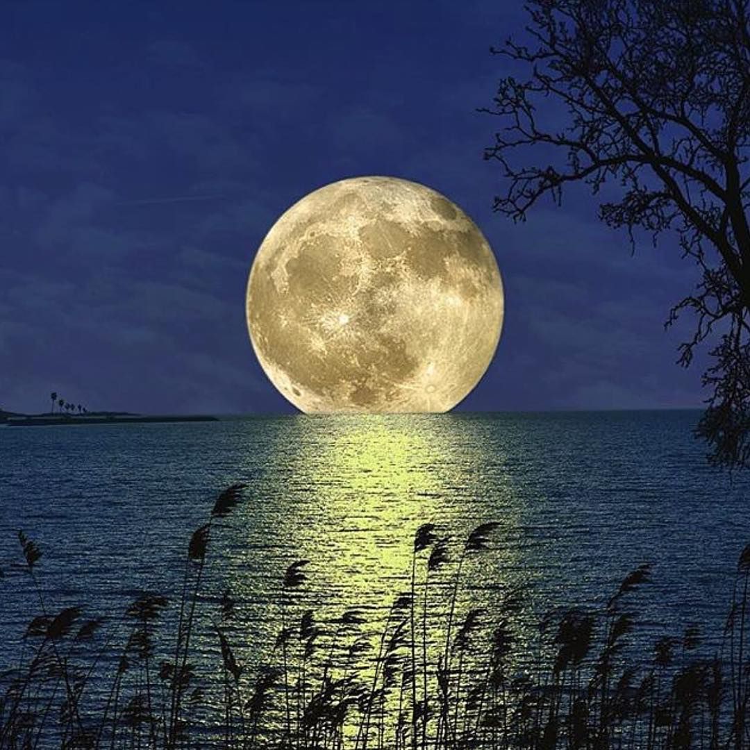 Moon
